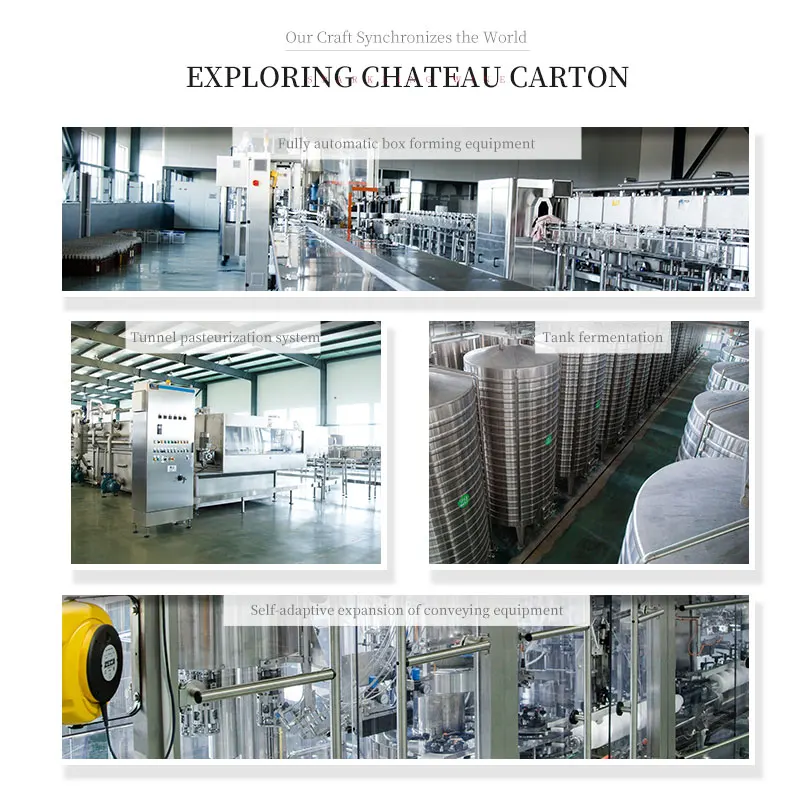 Factory Wholesale Manufacturing Customizable Alcoholic Beverages cheap Sparkling Wine Champagne Sparkling Wine