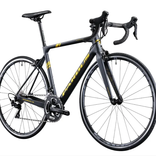 
Pardus Robin Sport Road bike vehicles Carbon fibre integrated highway PARDUS Robin Road bike 