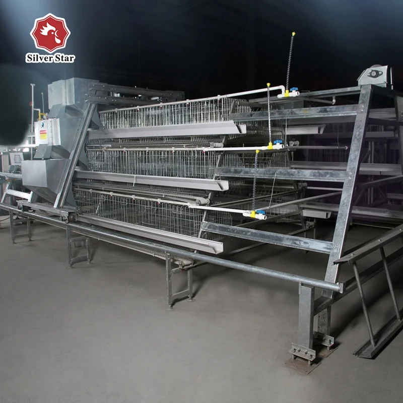 Automatic design layer battery cage chicken poultry farms equipment.jpg