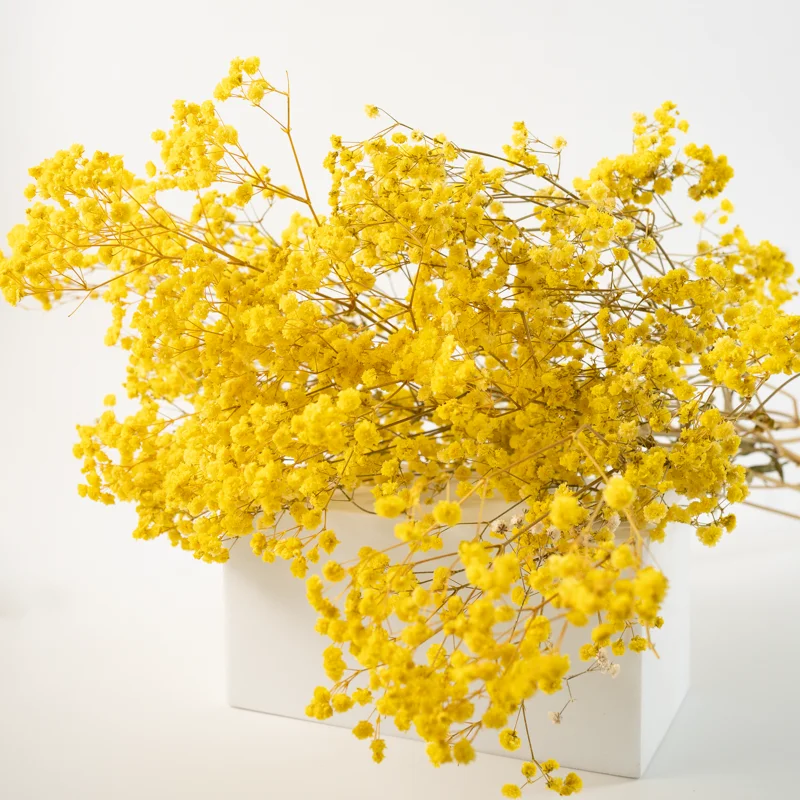 
Factory Wholesale Premium Grade Dried Babys Breath Flower Preserved Gypsophila 