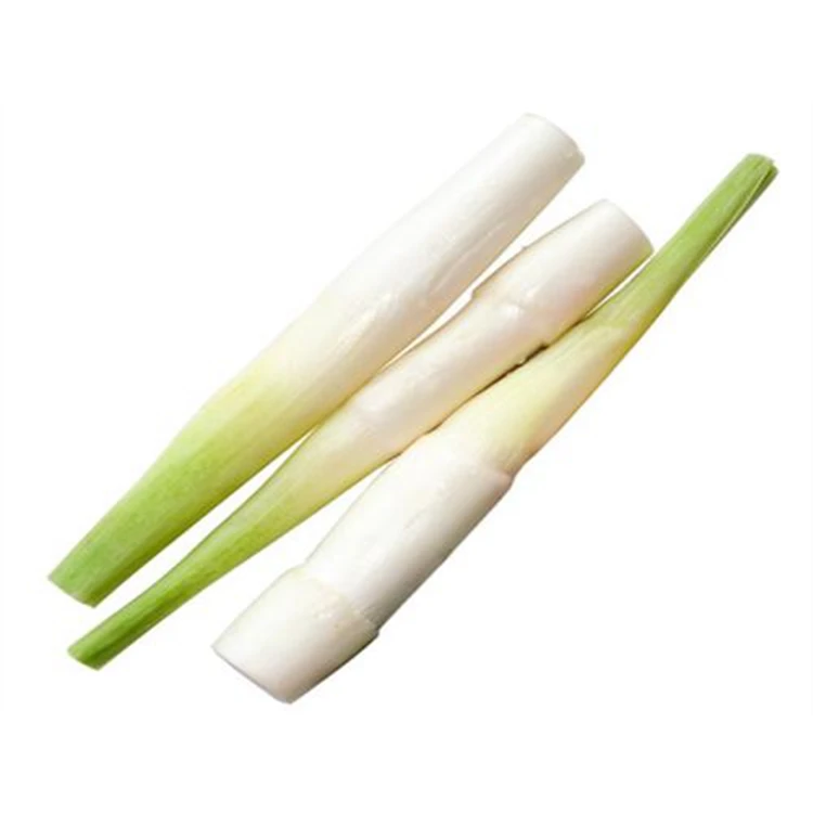 Высокое качество, оптовая продажа, свежая вода, бамбук, замороженные овощи