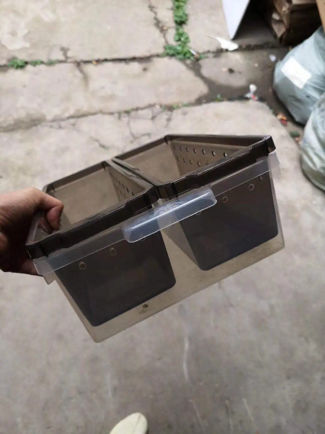 PP reptile box A4 size gecko snake plastic tub reptile breeding feeding box drawer tray