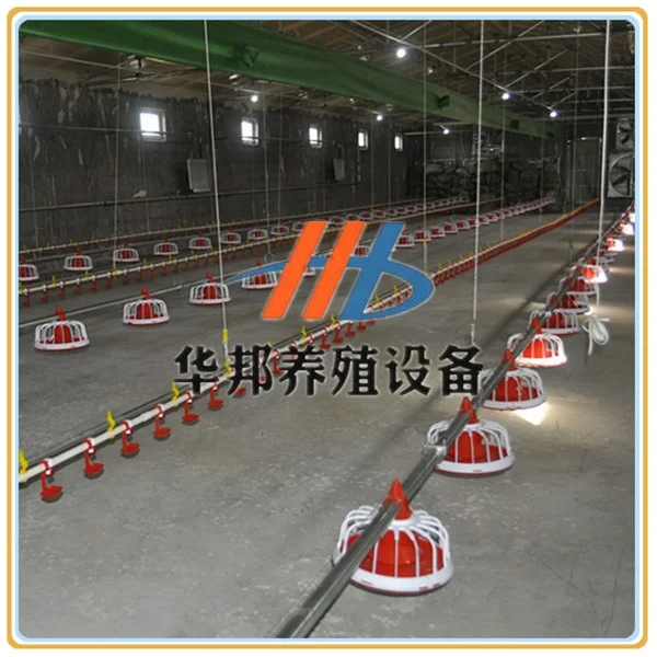 2019 poultry processing slaughtering equipment