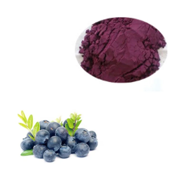 Bulk Pure Blueberry Concentrated Powder with Best Price 1KG Food Supplements