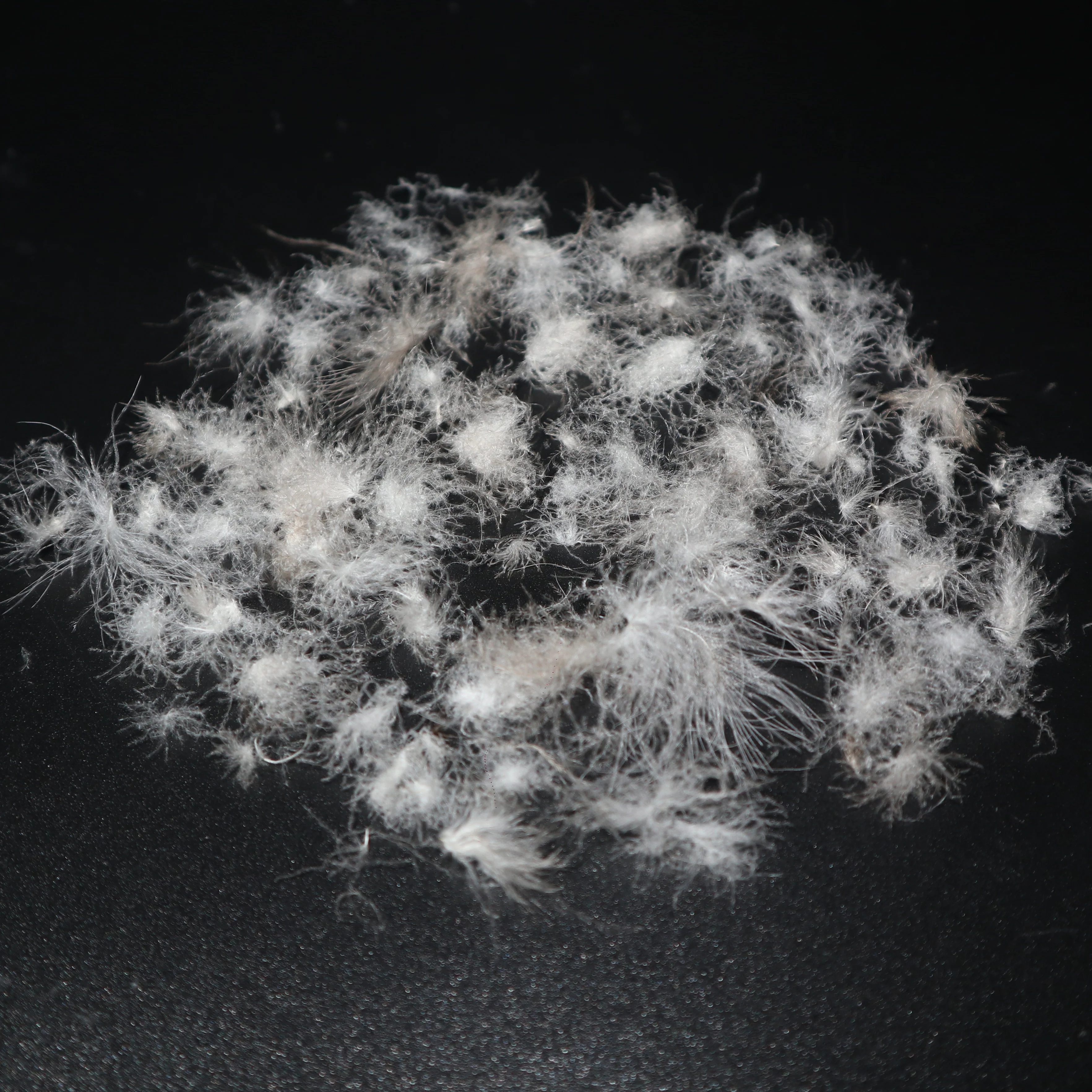 
Wholesale 93% Washed Grey Lining Goose Down Material 