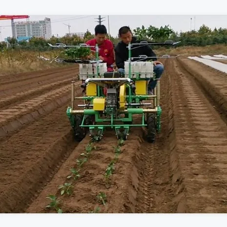 automatic 2ZBLZ-4 crawler 4 rows vegetable seedling transplanter bacco planting machine potato electric seedling transplanter