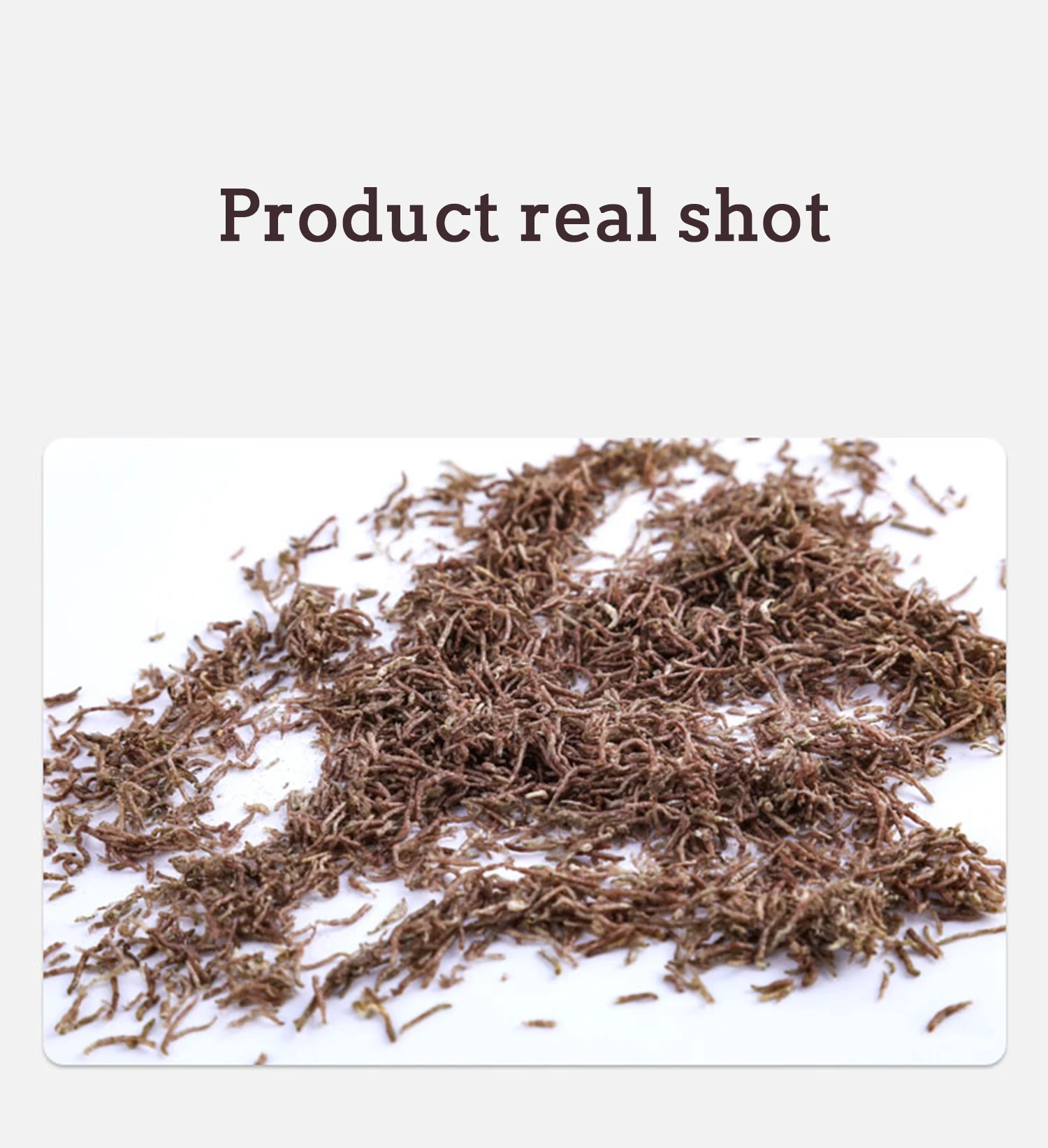 freeze dried bloodworm1