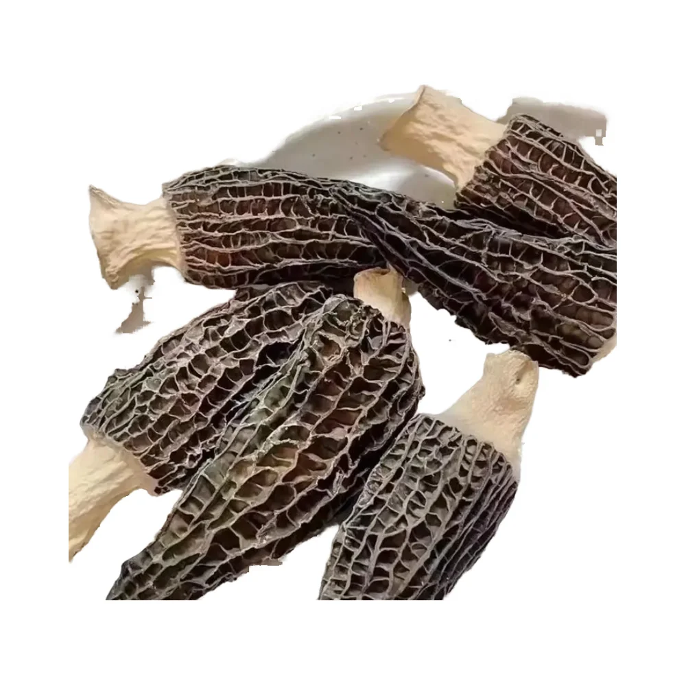 High Quality Dried Morchella Esculenta Truffle Whole Shiitake Mushroom Packaged in Bag Raw and Dried from Wild Source