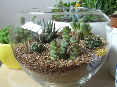 Cheap Price Gold Silver Expand Vermiculite For Agriculture Engineering Vemiculite