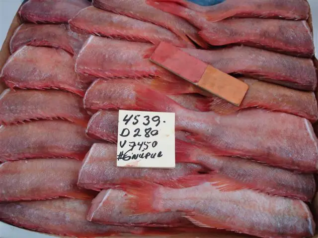 
Good quality Red fish fiillets skin on PBO 