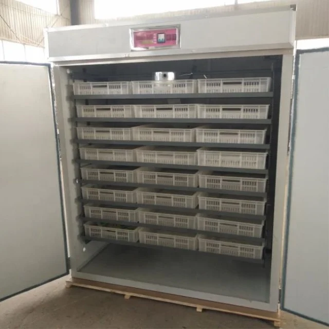 Livi Broiler Chicken Farm Industrial 10000 Eggs Automatic Incubator Hatching Eggs For Sale