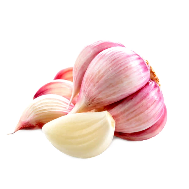 
Wholesale Premium Quality New Fresh Vegetables Garlic With Cheap Price 