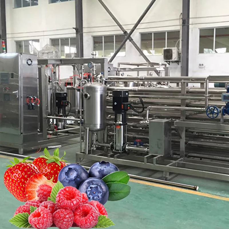 Оборудование для производства соковых концентратов для линии производства фруктовых напитков