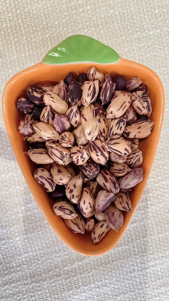 2023 New Shredded Snacks Colorful Shredded Peanuts 1 kilogram Small Pitched Grains Colorful