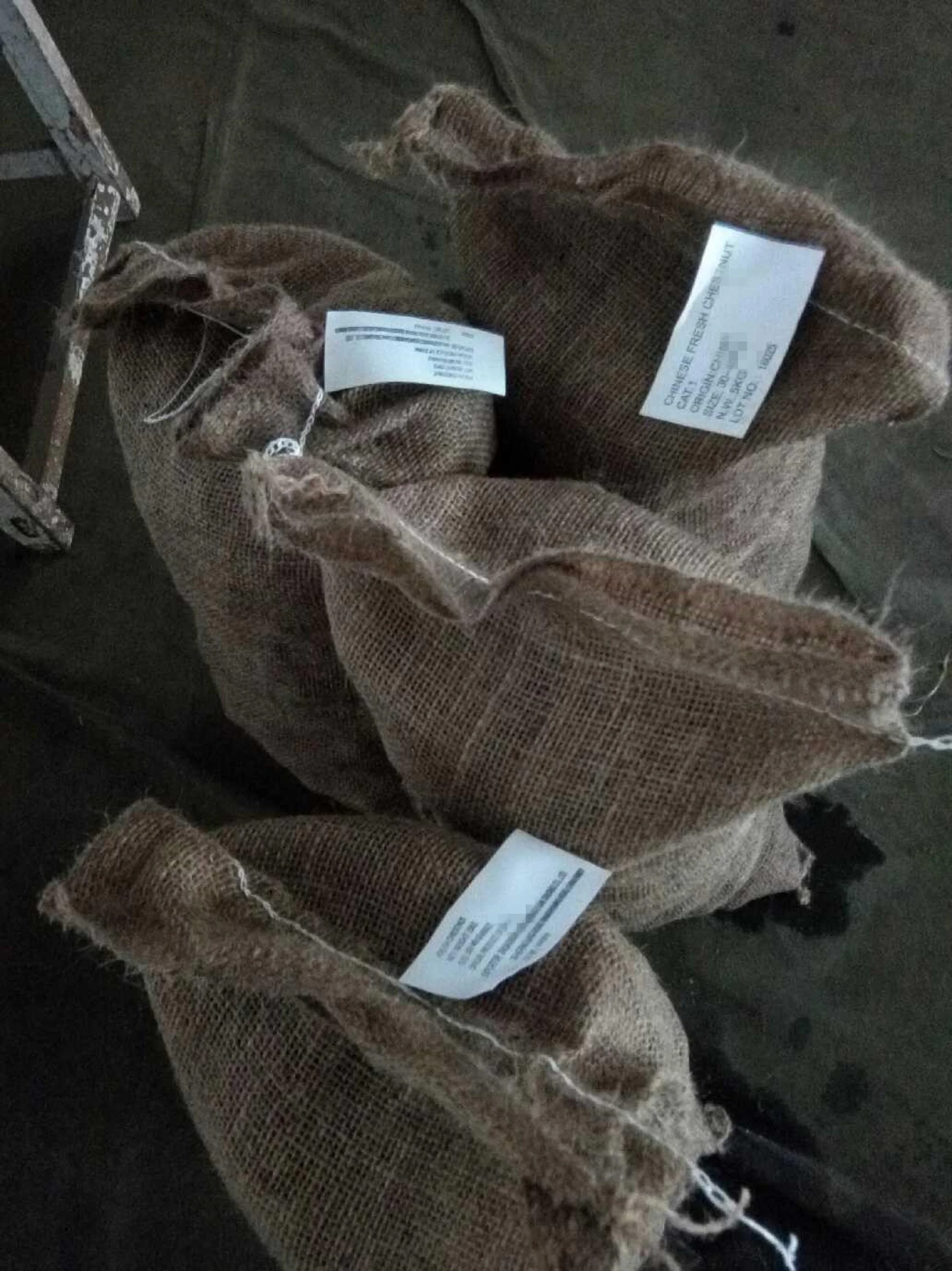 Свежий Шаньдун каштан