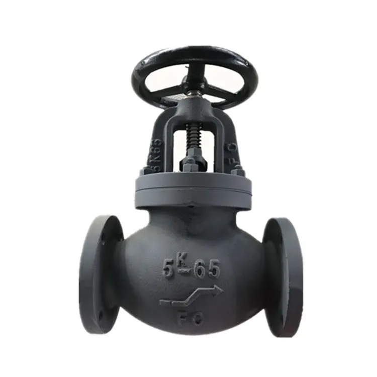 Hot Sale JIS Cast Iron Swing Type Check Valve Use Marine FC 5K 100A