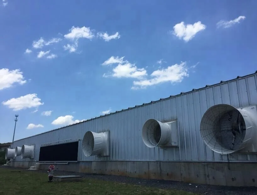 Cone Fan/ Fiberglass Cone Fan/ Fiberglass Ventilation Fan
