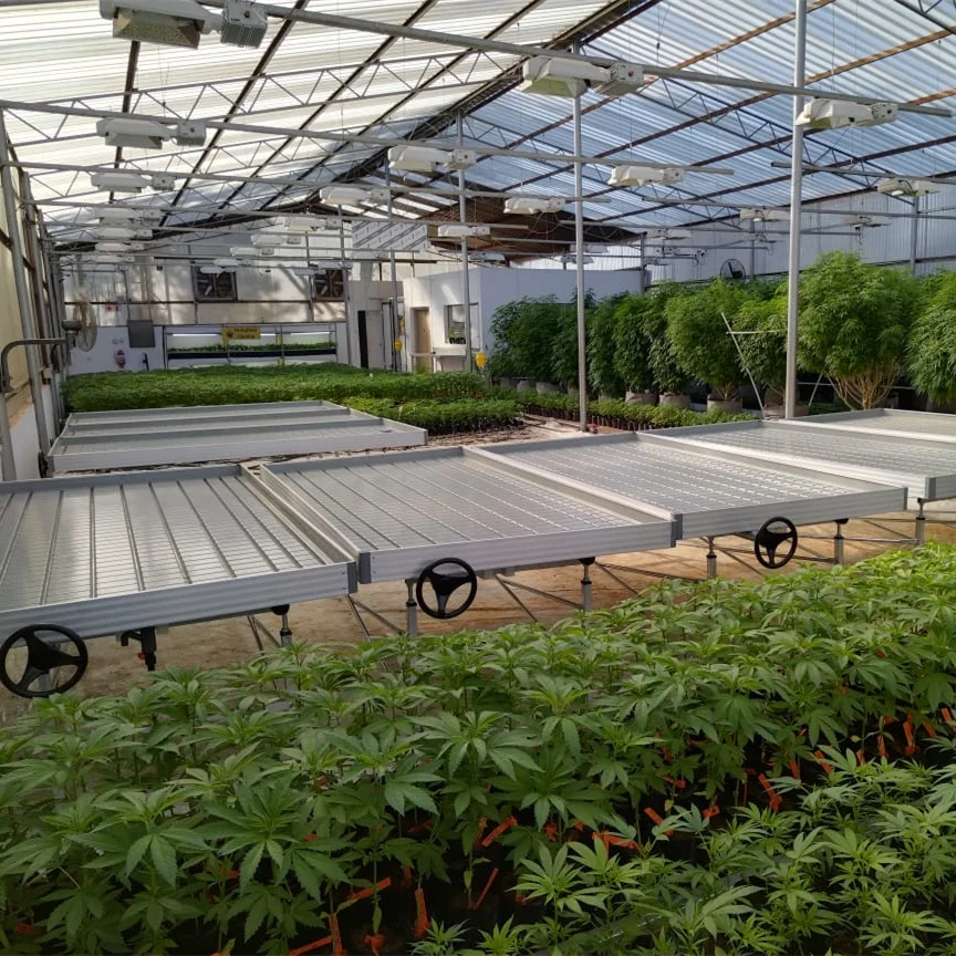 Food Grade ABS Panels Indoor Hydroponics System Ebb And Flow Table Rolling Bench