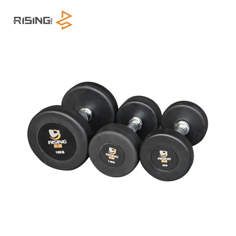 china  RISING Customize dumbbell bench Weight Lifting Pu Dumbbell Set home
