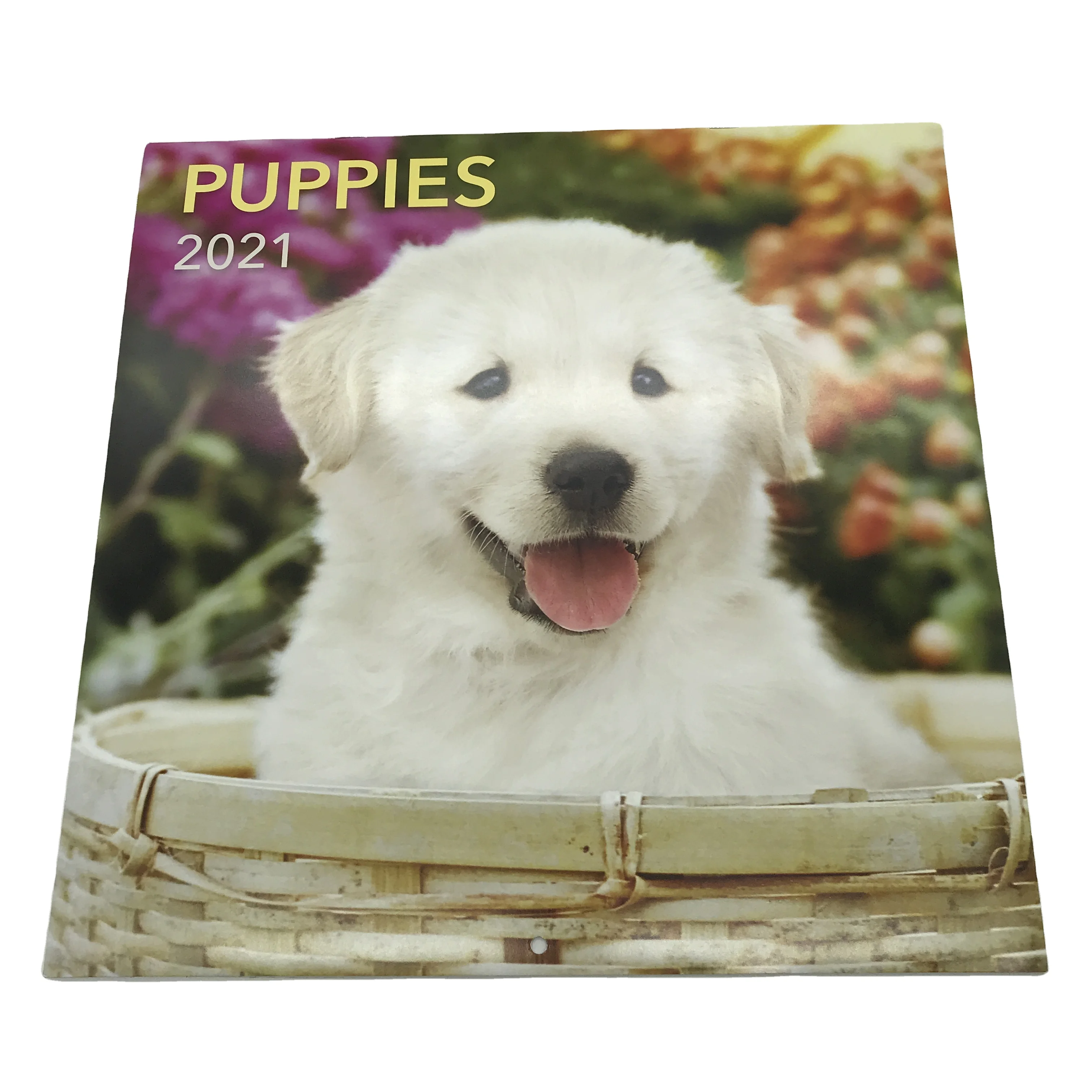 SM-GL009 2023 новый пользовательский дизайн настенных календарей на заказ