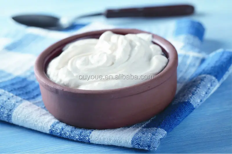 Portable greek yogurt maker Stainless Steel Yogurt Maker Household Yogurt Making Machine