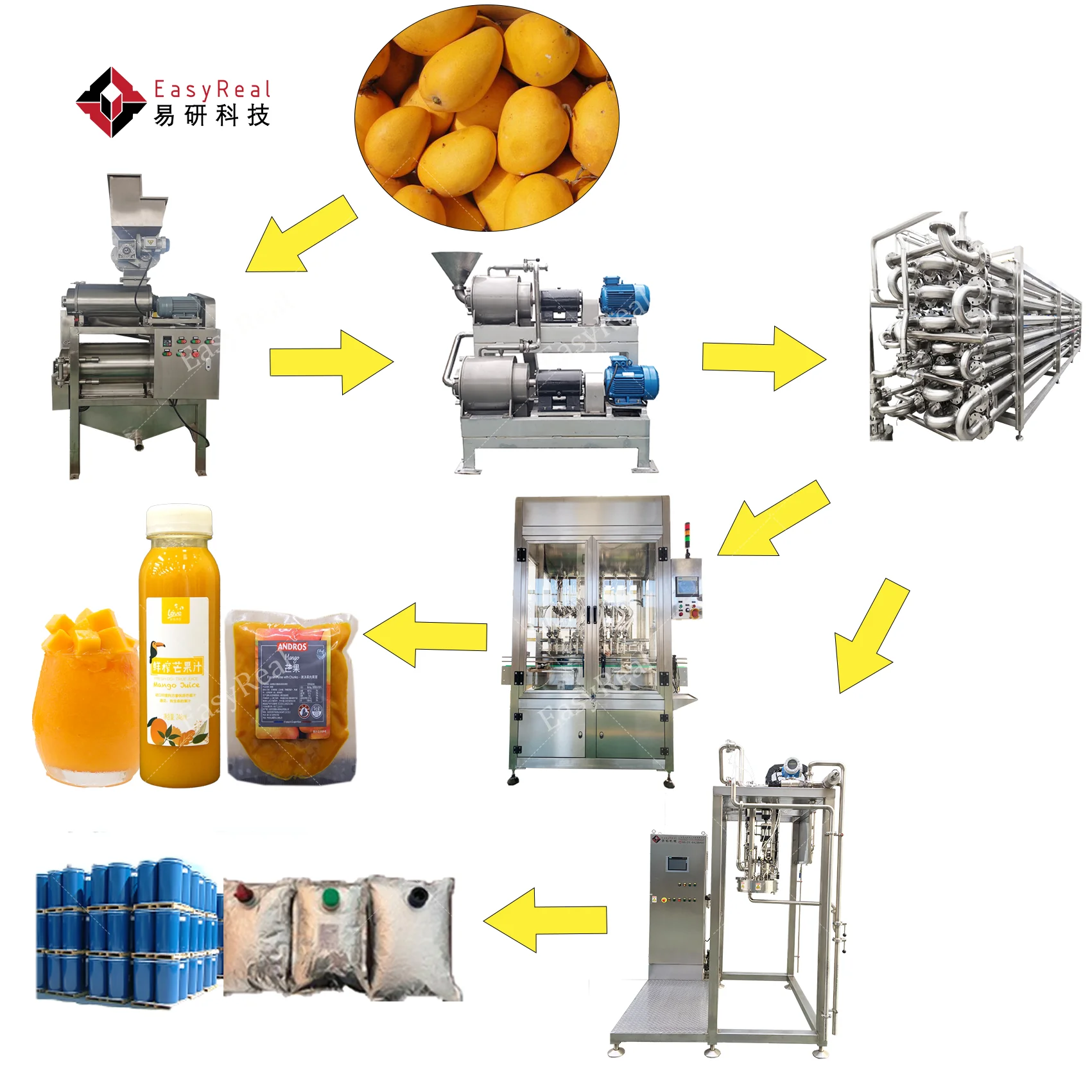Industry Equipment Tools Mango Puree Processor Mango Pulp Juice Make Machine Processing Plant