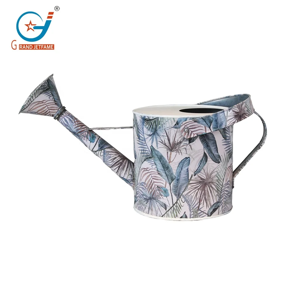 Metal Watering Can Galvanized Steel Watering Pot with Removable Spray Spout, Movable Upper Handle