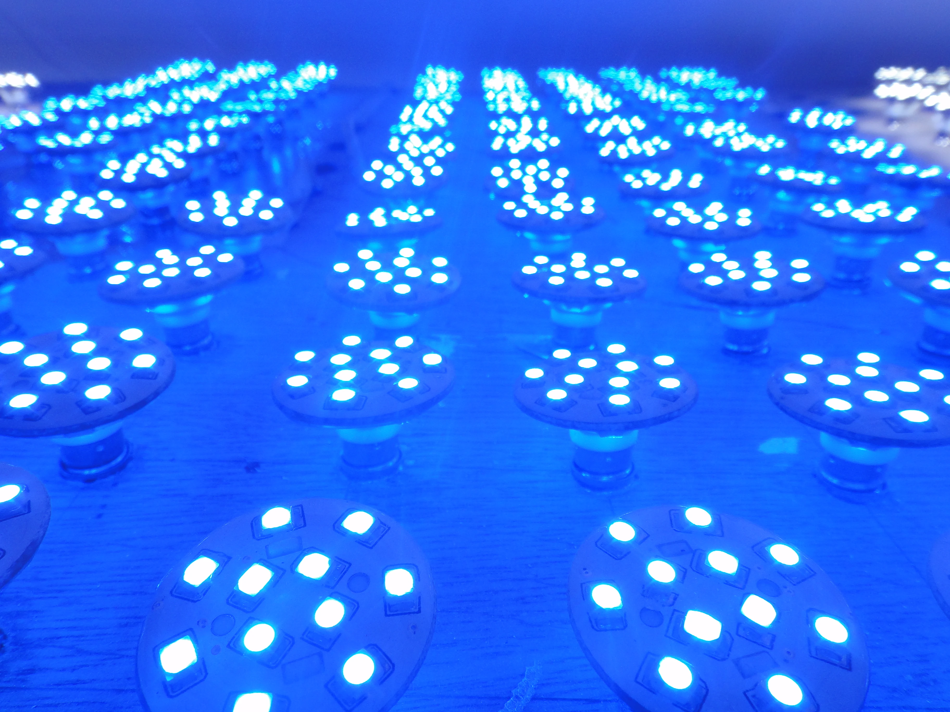 Aglare фабрика высокое качество 2835SMD карнавальные гирлянды светодиодные пиксельные огни одноцветные развлекательные