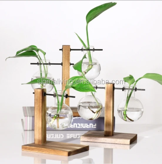 Creative hydroponic wood glass vase
