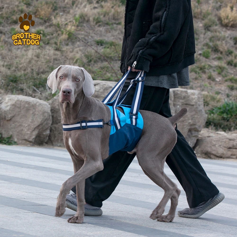 Pets accessories  Injured dog support harness belt  soft padded large dog Rehabilitation belt  custom design disable dog harness