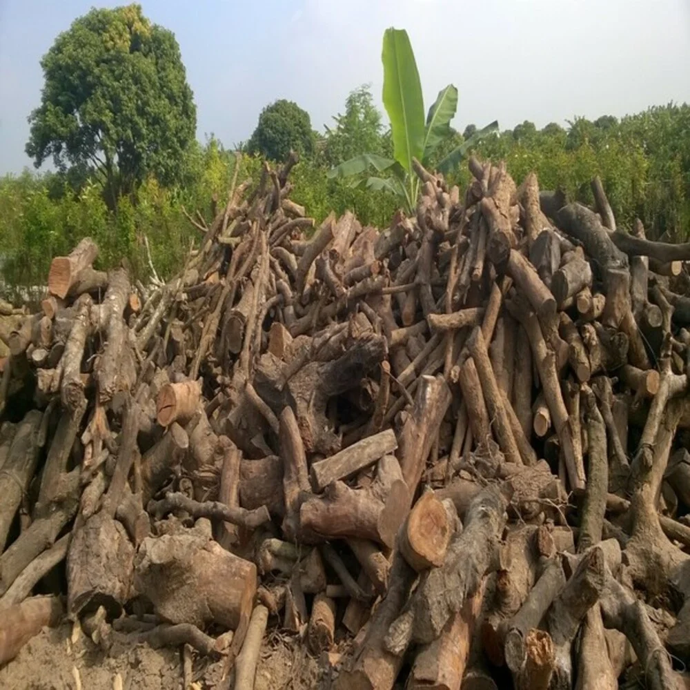Длительное горение древесины (дрова) барбекю из твердой (барбекю) 3 часа дрова