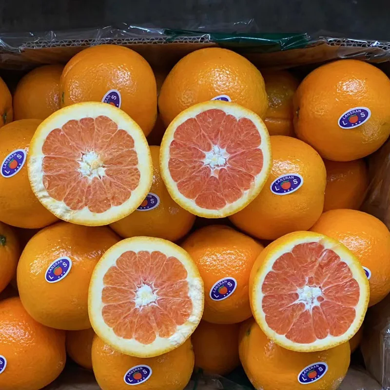 2024 New Season Fresh Citrus Fruit From China Delicious Sweet Fresh Citrus Fruit Fresh Oranges