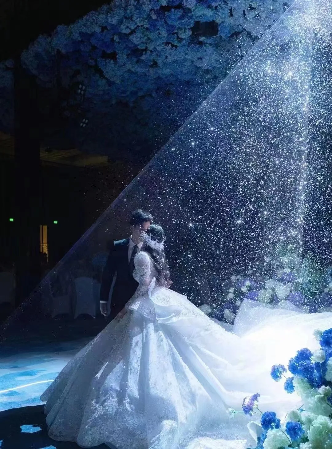 10W RGB Laser Show Projector Animation Laser Light Cinderella effect Animation Projector Dj Laser Light for Party Disco Club