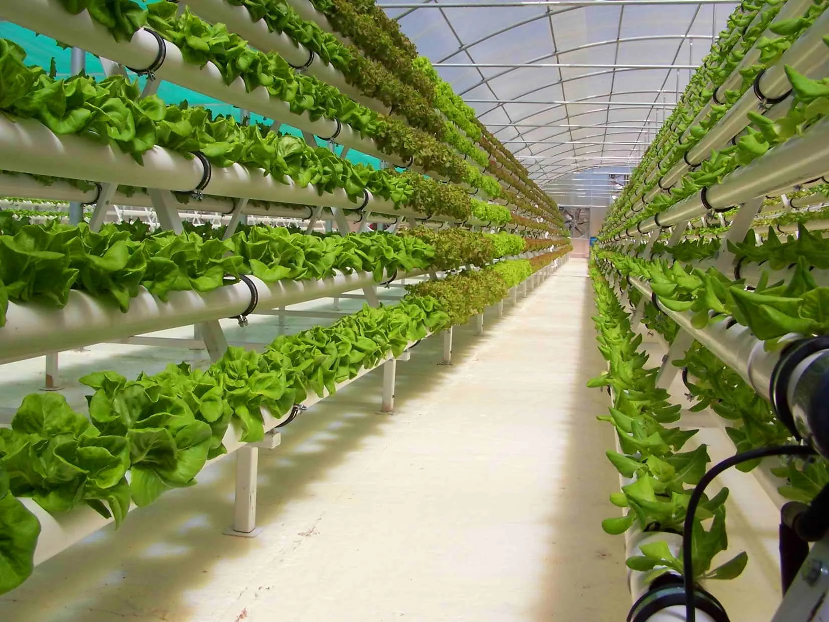 
Hydroponics Nft System ,Vertical Hydroponic Growing Systems PVC Tube Plant Vegetable 