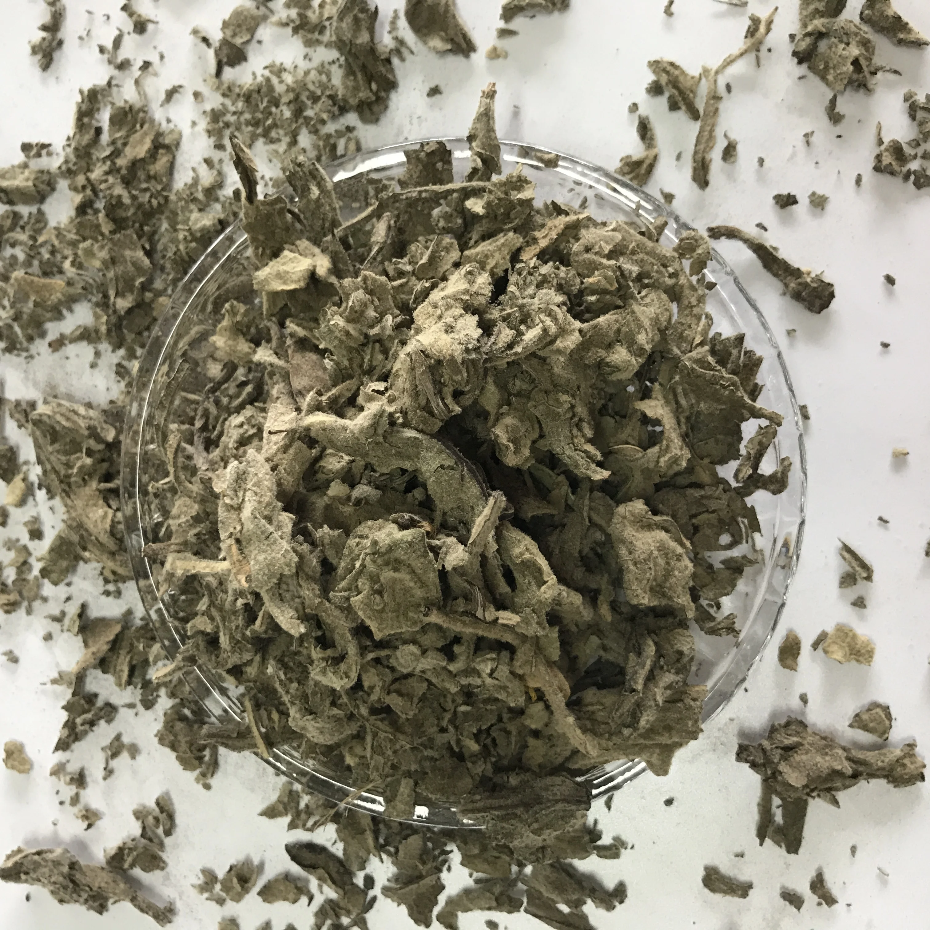 L009 Mao Rui Hua Bulk Dried Great Mullein Leaf High Quality Natural Herb Flores Verbasci Tea