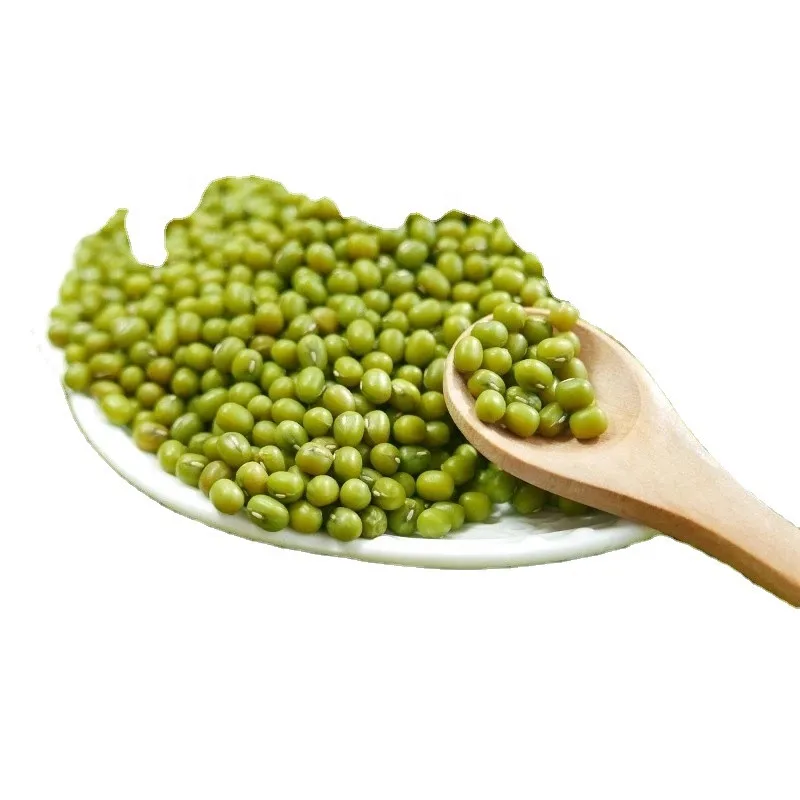 
 Оптовая продажа, зеленые бобы mung большого размера хорошего качества  