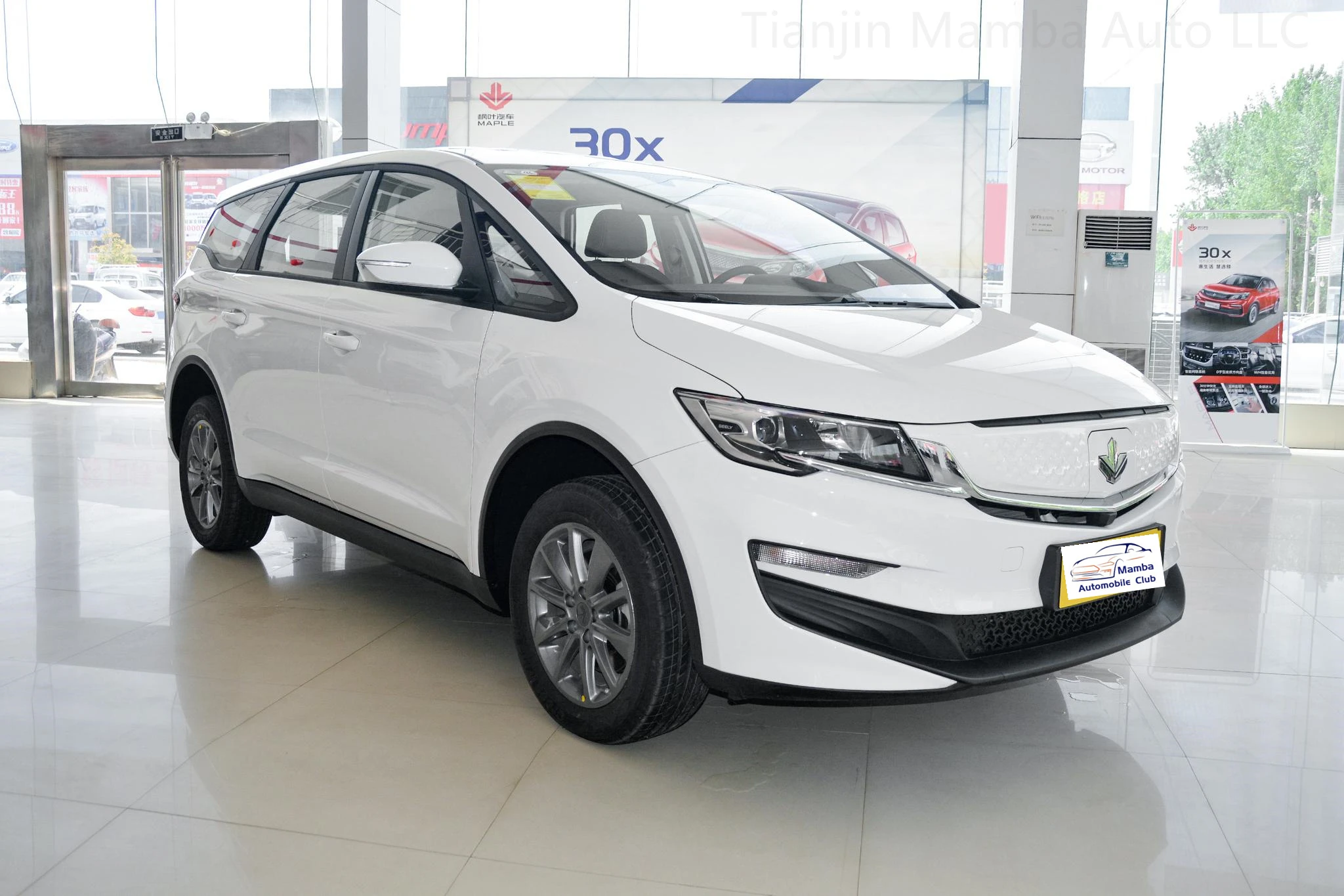 Charger for New Energy Vehicles 4 Seat Automobile Electric Power Vehicles Adults New Energy Vehicles LIfan Maple leaf 80V