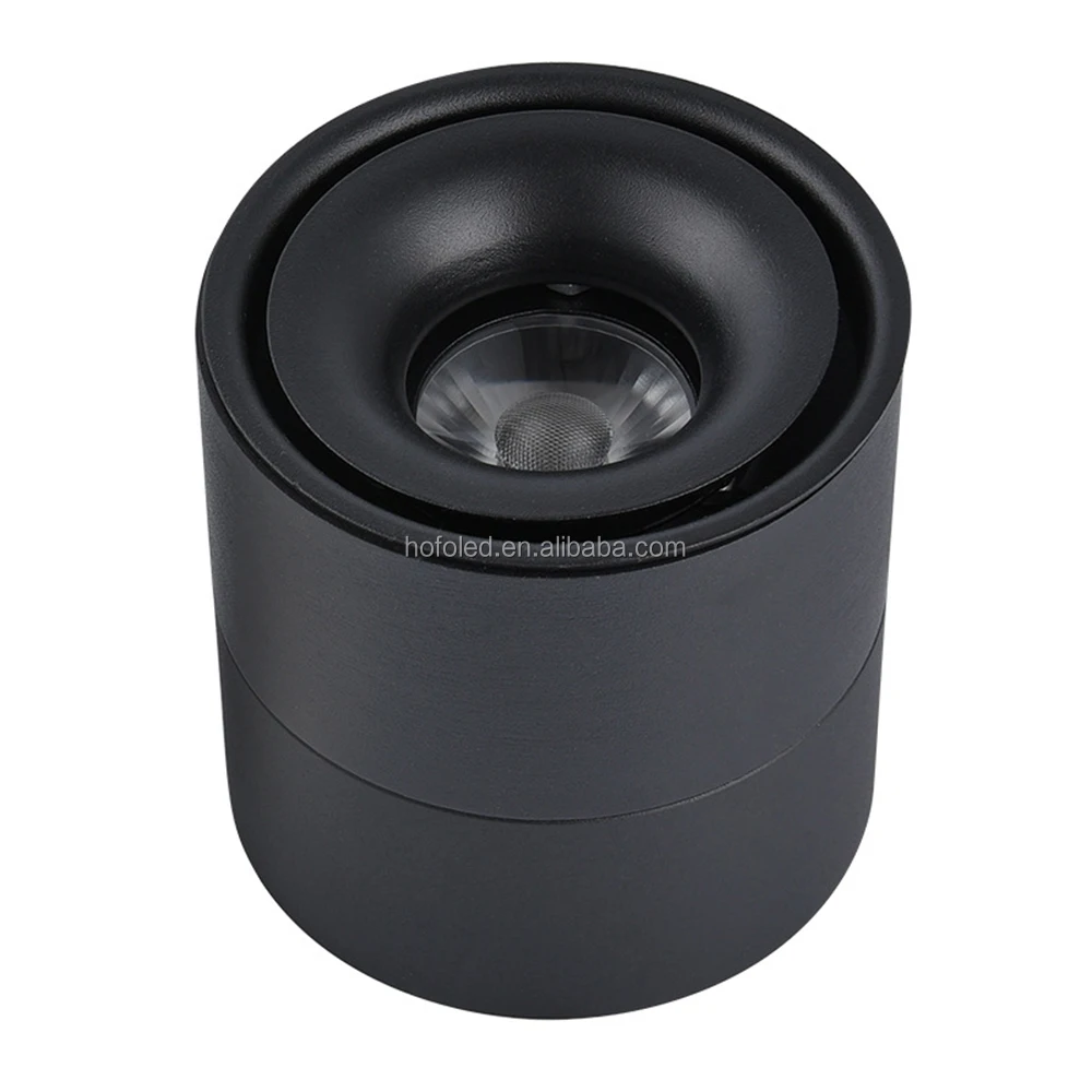 100mm 3inch Diameter Adjustable IP65 Surface Mounted LED Recessed Downlight 10W