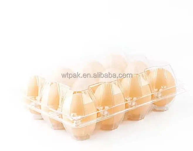 Factory Direct Supply Wholesale Customized Plastic Egg Holder Container