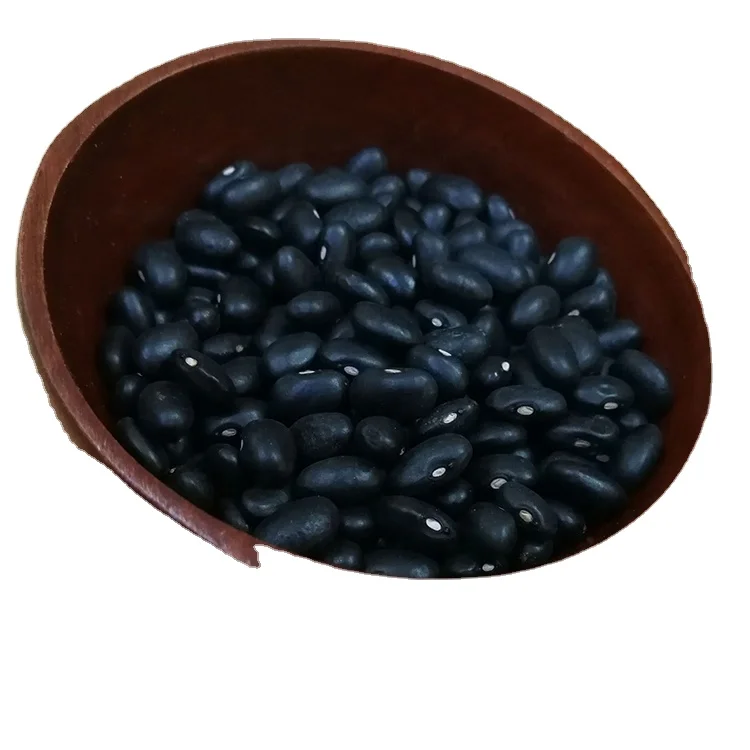 Quality Warranty China Market Price Small Dried High Quality Black Kidney Bean For Export