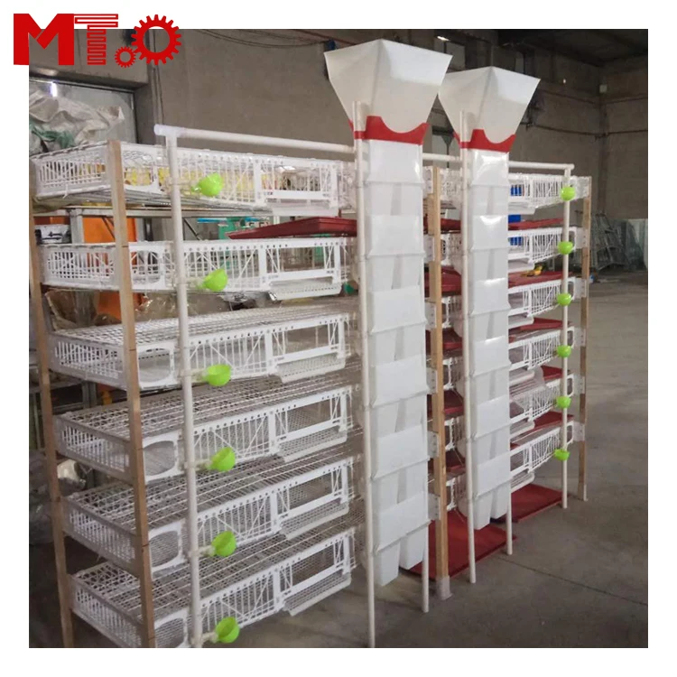 
 Пластиковое оборудование для поднятия перепелов типа H  