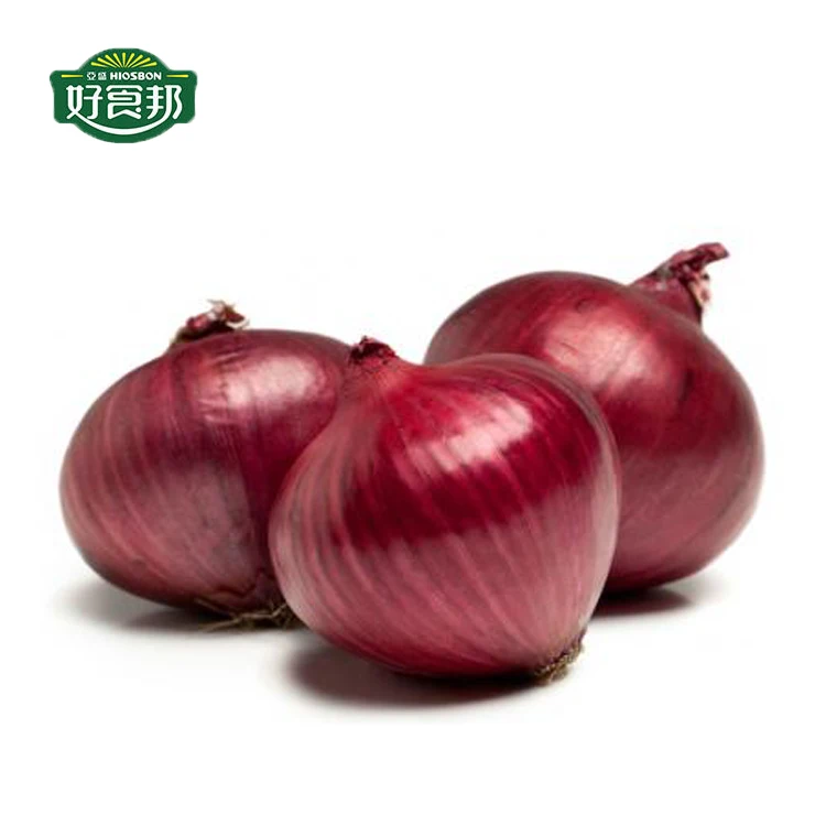Hot Sale Fresh Red Small Onion Export from CN;GAN Mesh Bag 100% Maturity Gansu Province 20 Kg Round 2019 8 Cm 6-8 89% FCL Top