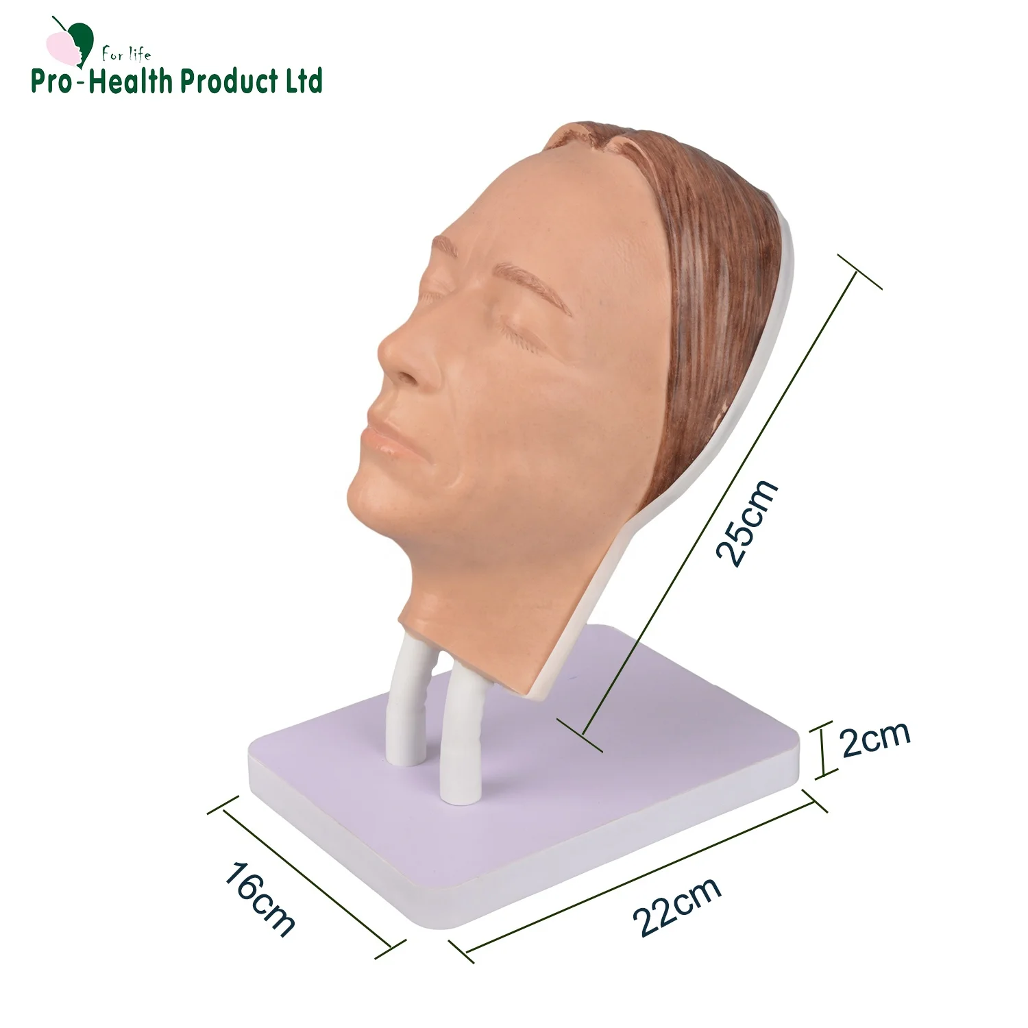 Silicone Mannequin Head Female Face With Bone Inside Injection Practice Model for Neurotoxin Injections Facial Injections
