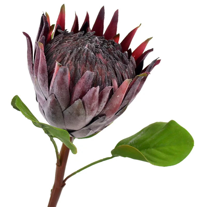 Cynaroides Artificial Silk King Protea Bouquet Wedding and Home Decoration Flowers for Christmas Halloween Easter Occasions