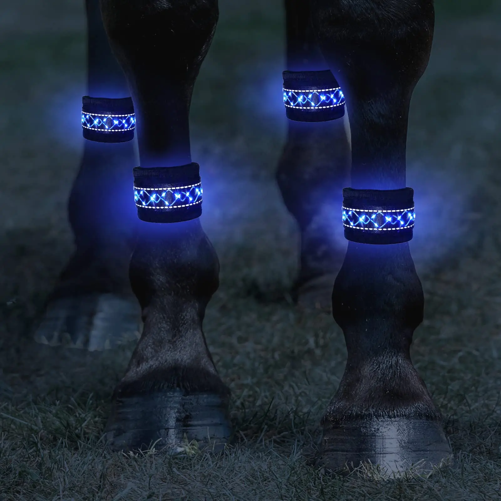 Super Bright LED Horse Leg Band Light up Glow in The Dark horse Leg Safety strap Horse Accessories For Night Riding