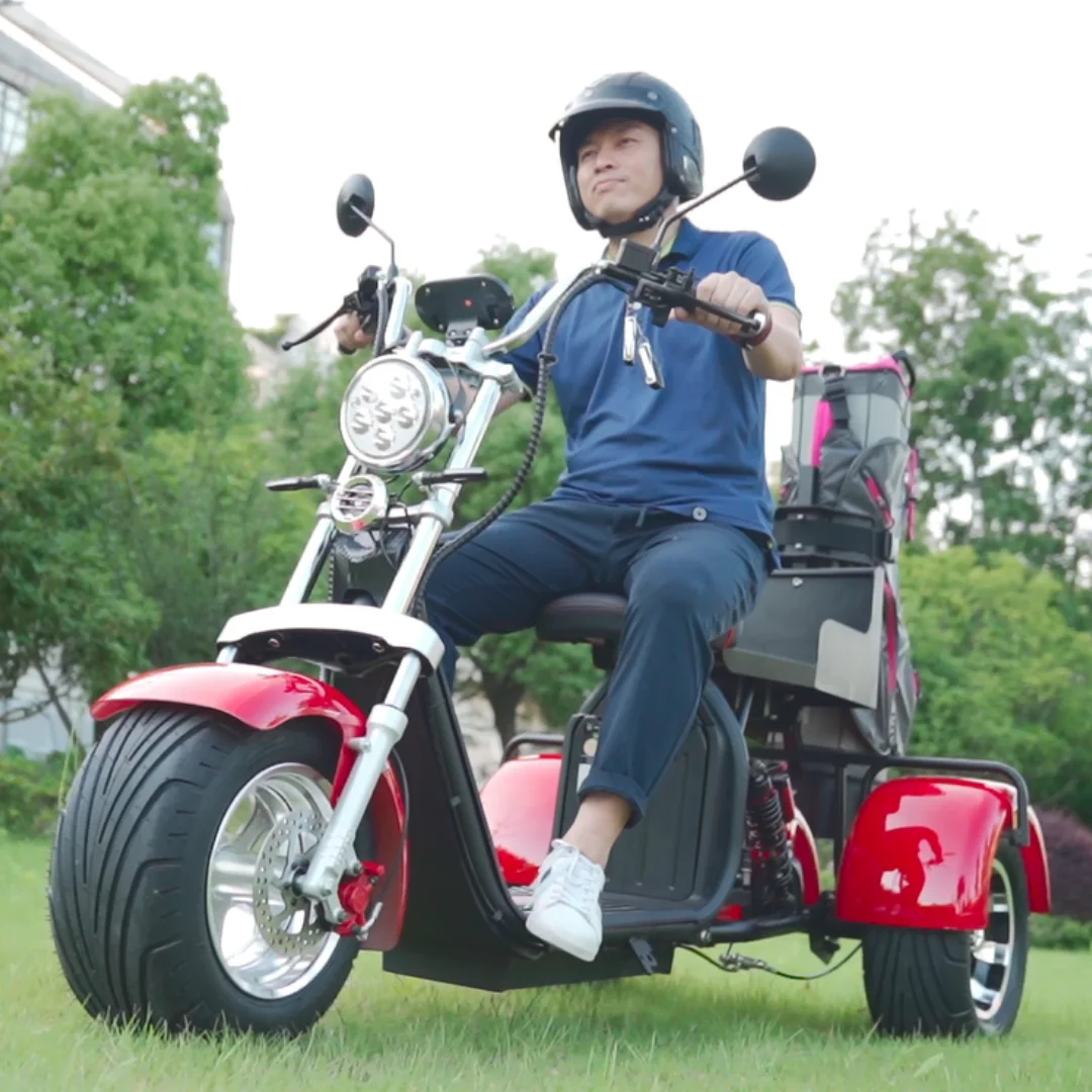 Electric Trike 3 Wheel Electric Golf Citycoco E Scooter Adults 3000W 2000W E Scooter
