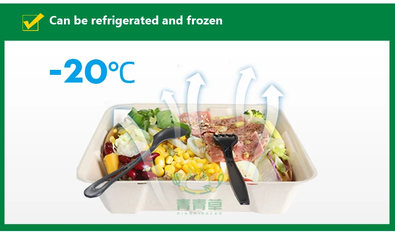 Wholesale Sugarcane Bagasse biodegradable  Takeaway Food Container