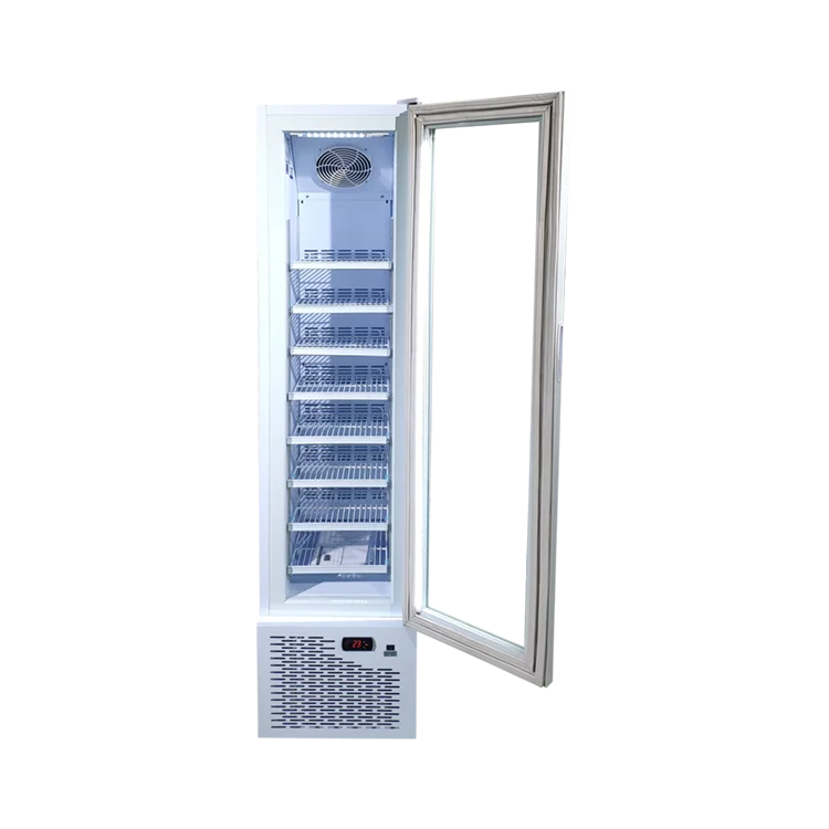 Meisda SD105 105L customization acceptable commercial bar display freezer for ice cream and popsicle
