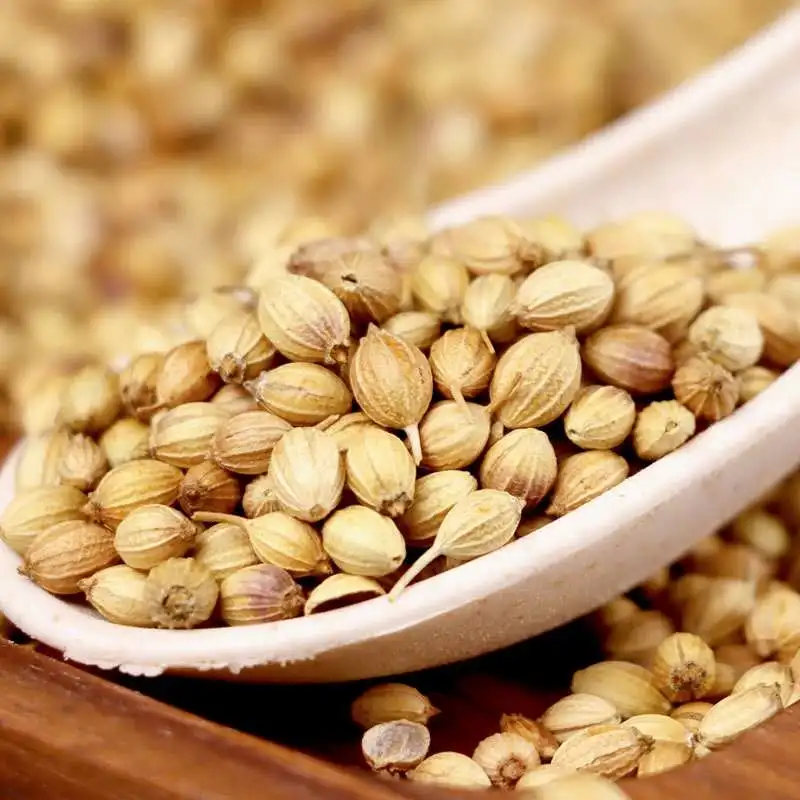 Wholesale Spices Supply Good Quality Whole Good Price Dry Coriander Seeds