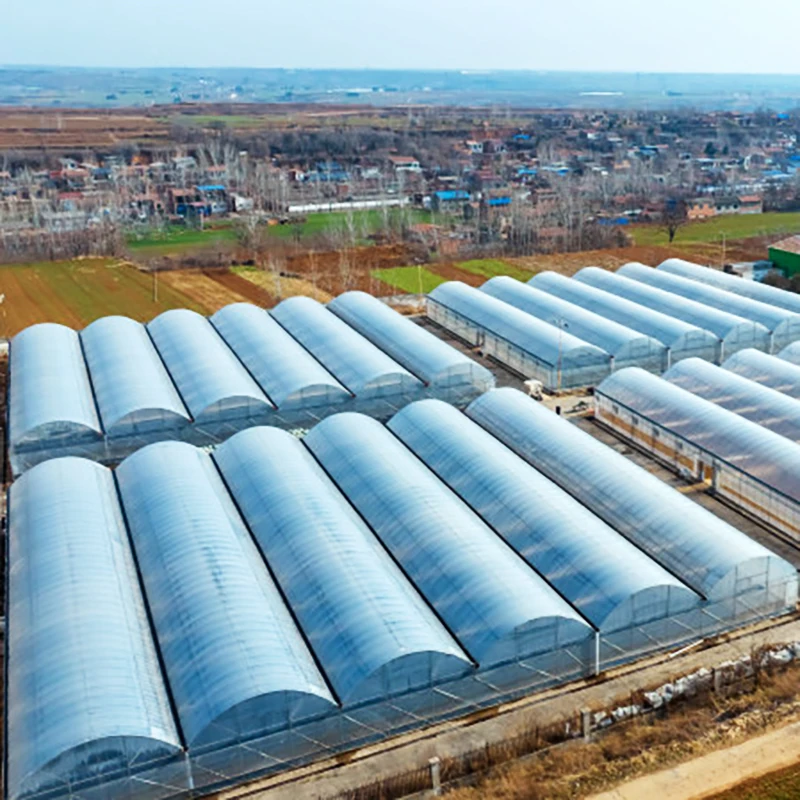 Agricultural cheap 8*30m single span 150micron PE film greenhouse for sale